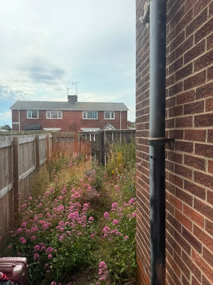 House Burlington Close in Sunderland