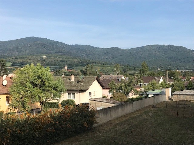 Appartement Rue Amélie Zurcher à Cernay