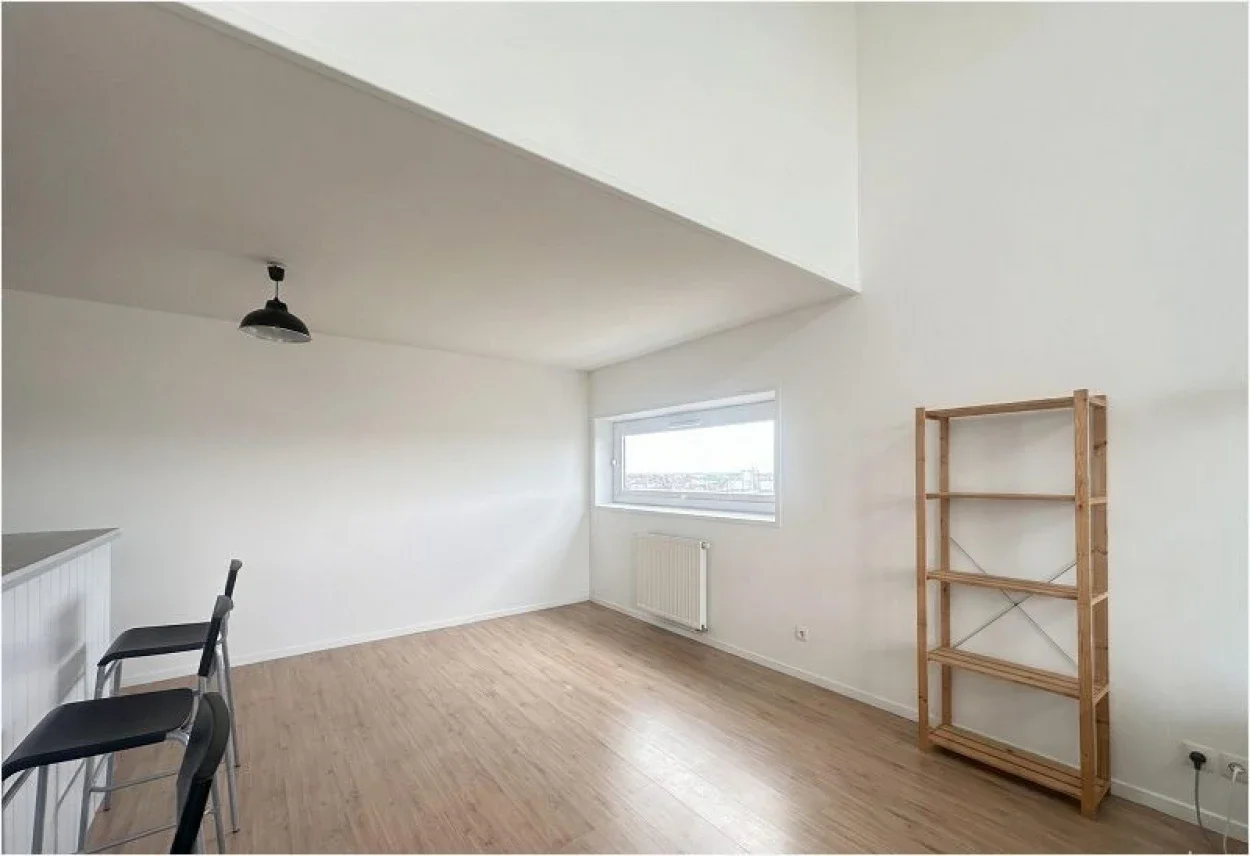 Appartement Avenue du Président Hoover à Lille