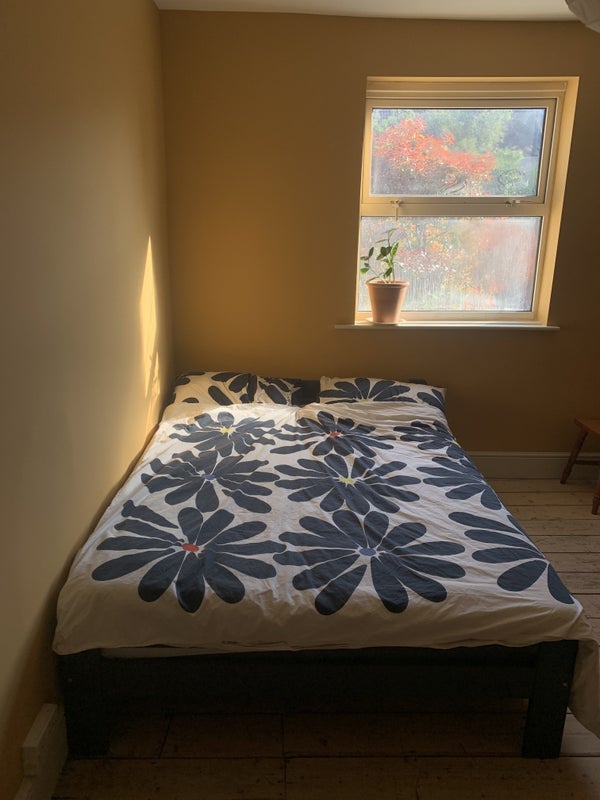 Room Graham Road in Bristol
