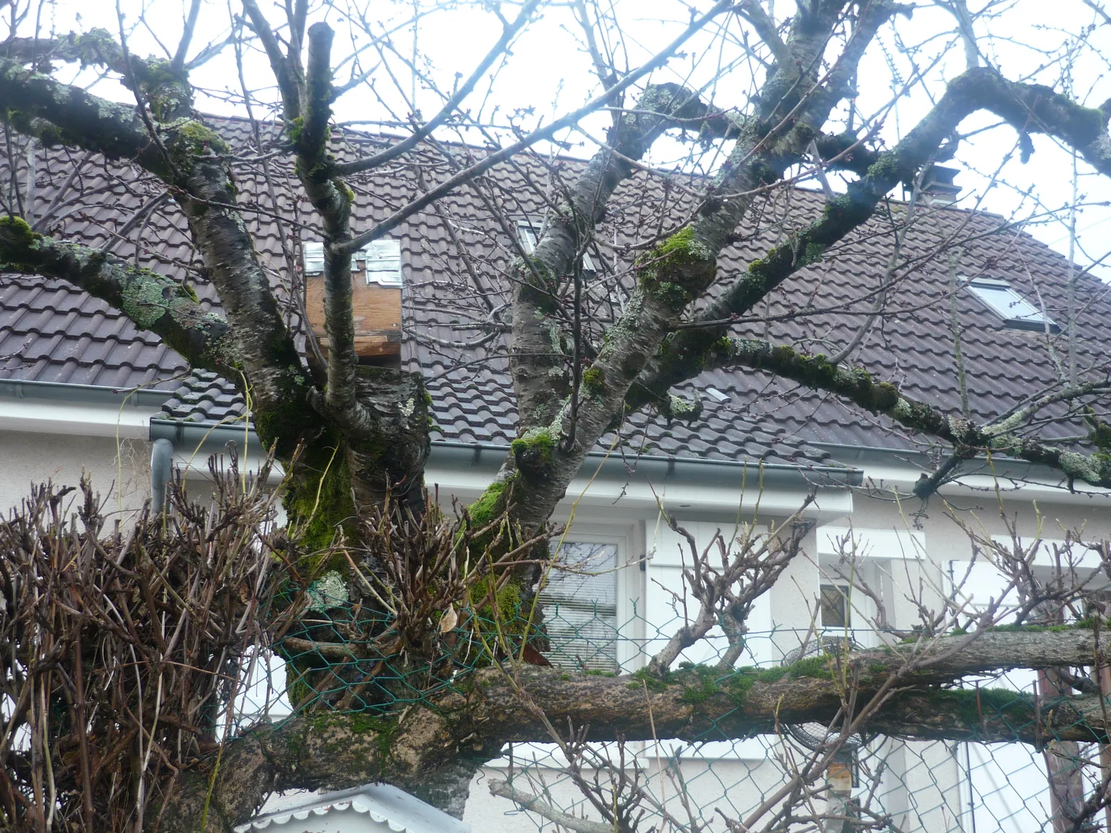 Chambre D 176A à Selles-sur-Cher