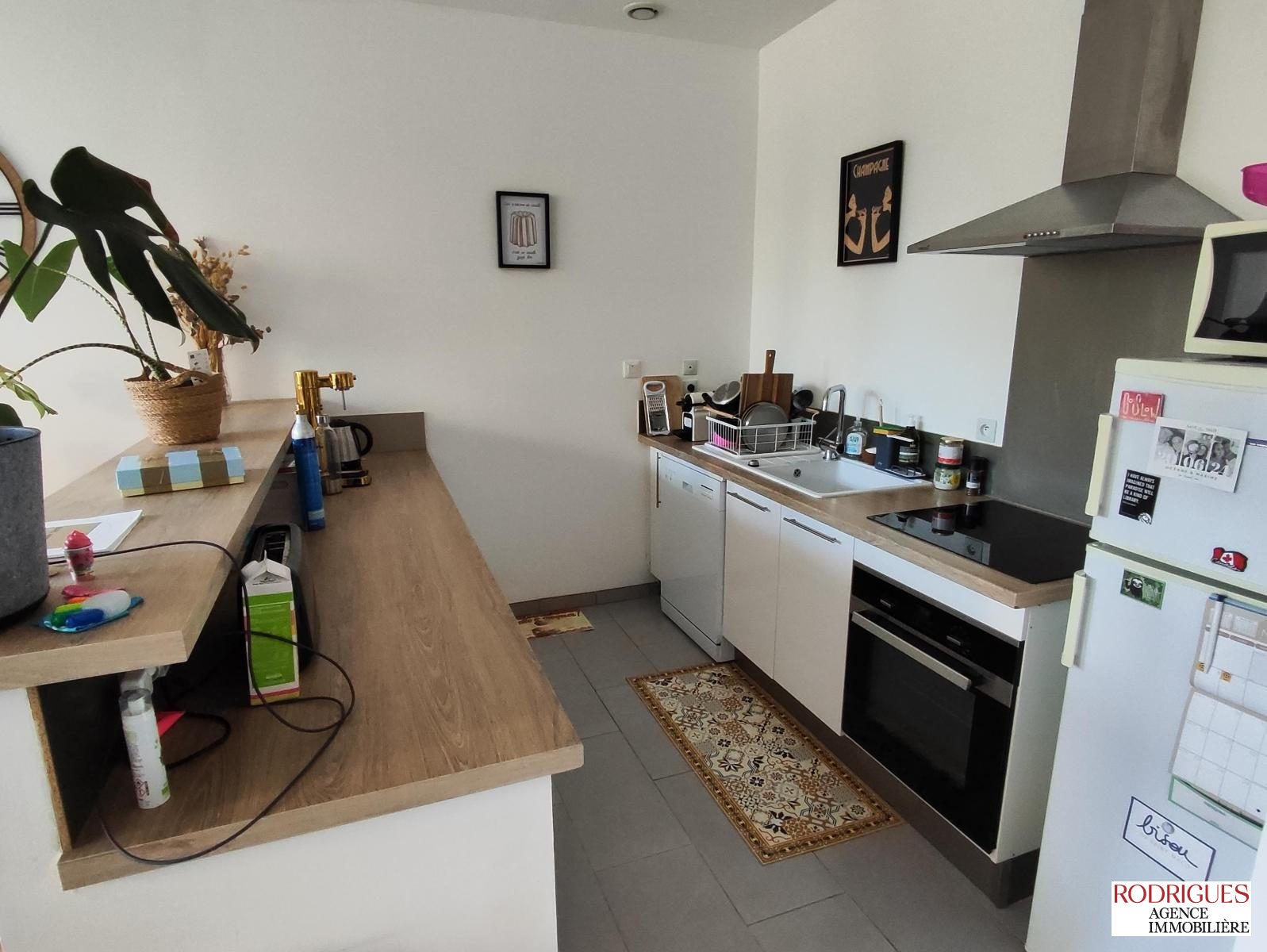 Appartement Boulevard Chasseigne à Poitiers