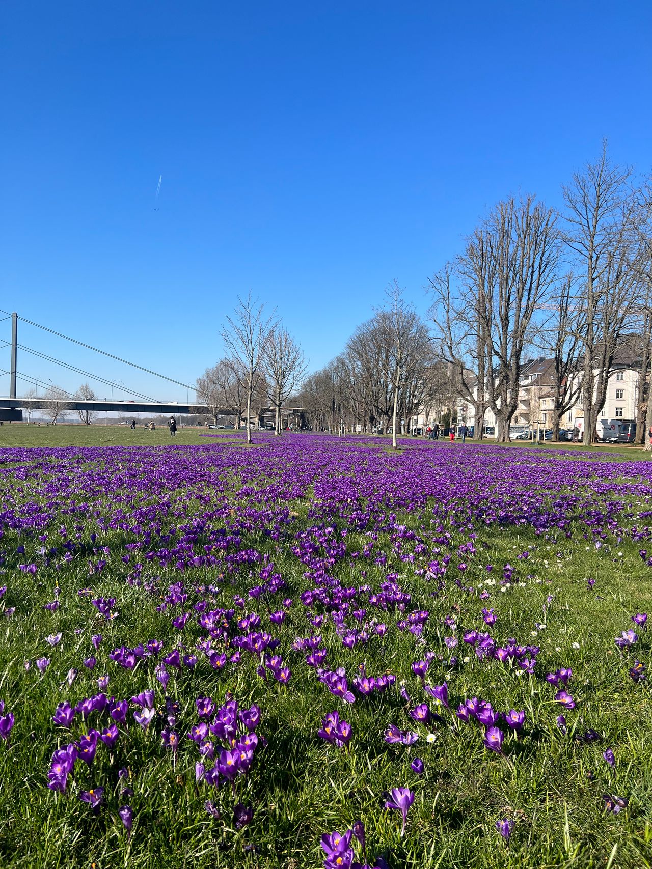 Wohnung Cecilienallee in Düsseldorf