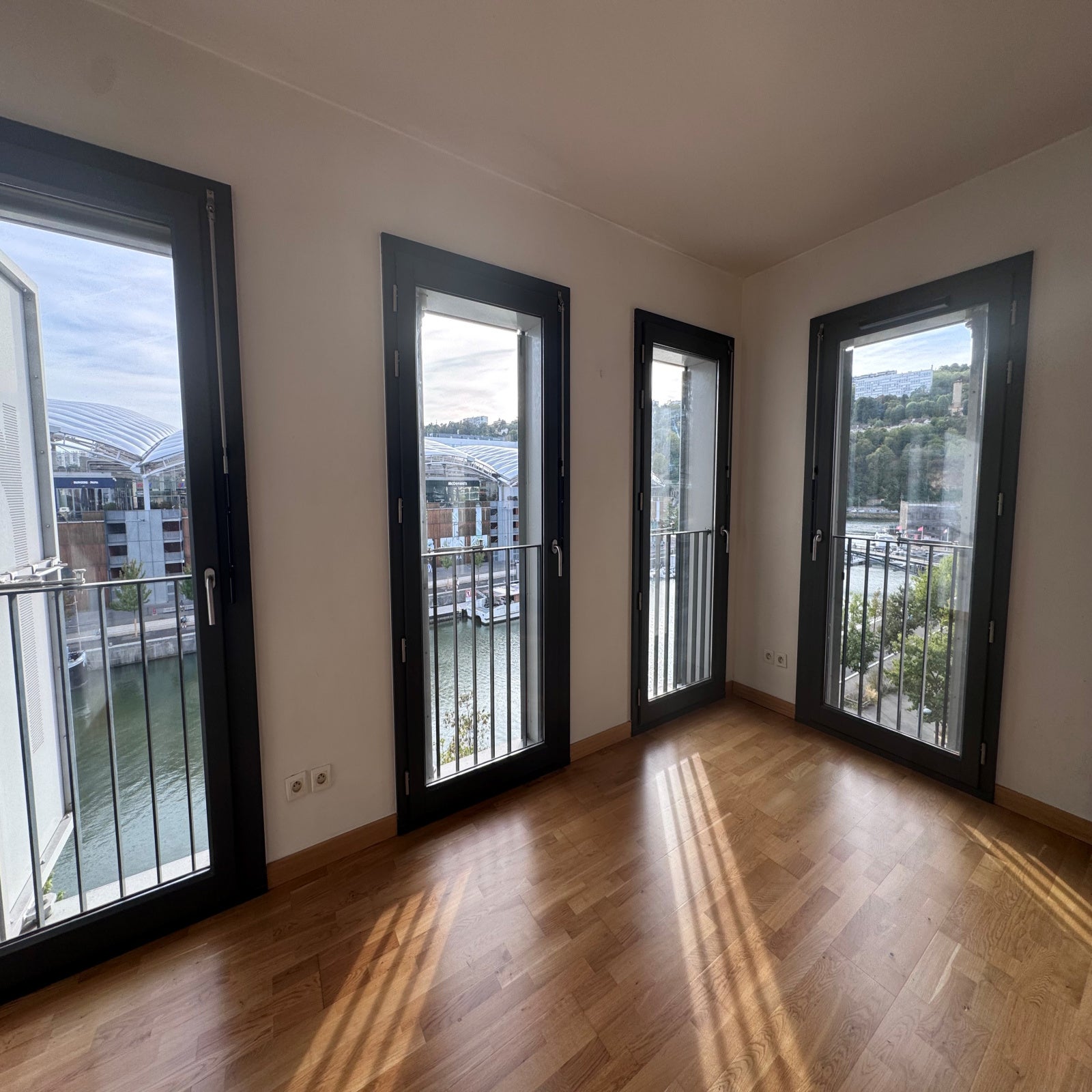 Flat Quai Antoine Riboud in Lyon