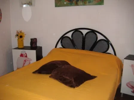 Maison Avenue Pierre Cambres à Perpignan