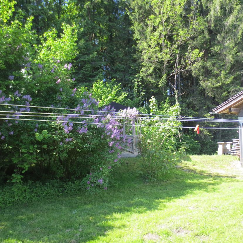 Wohnung Frasdorfer Straße in Achenmühle
