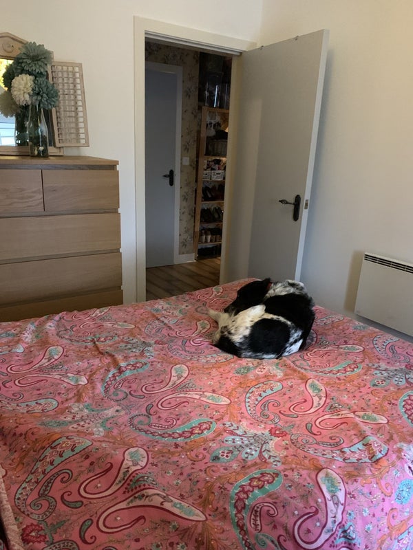 Room Dean Road in Salford