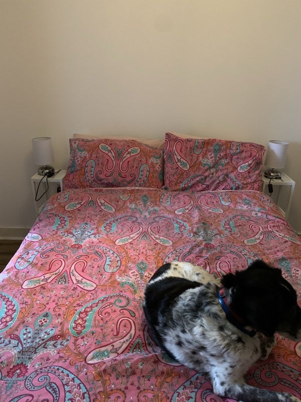 Room Dean Road in Salford