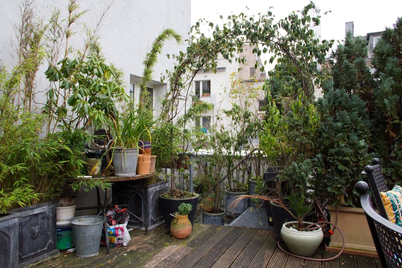 Wohnung Ubierring in Köln