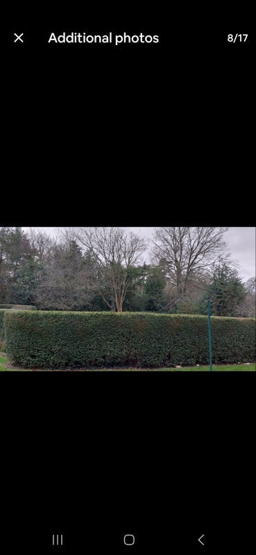 Room Glenhill Close in Greater London