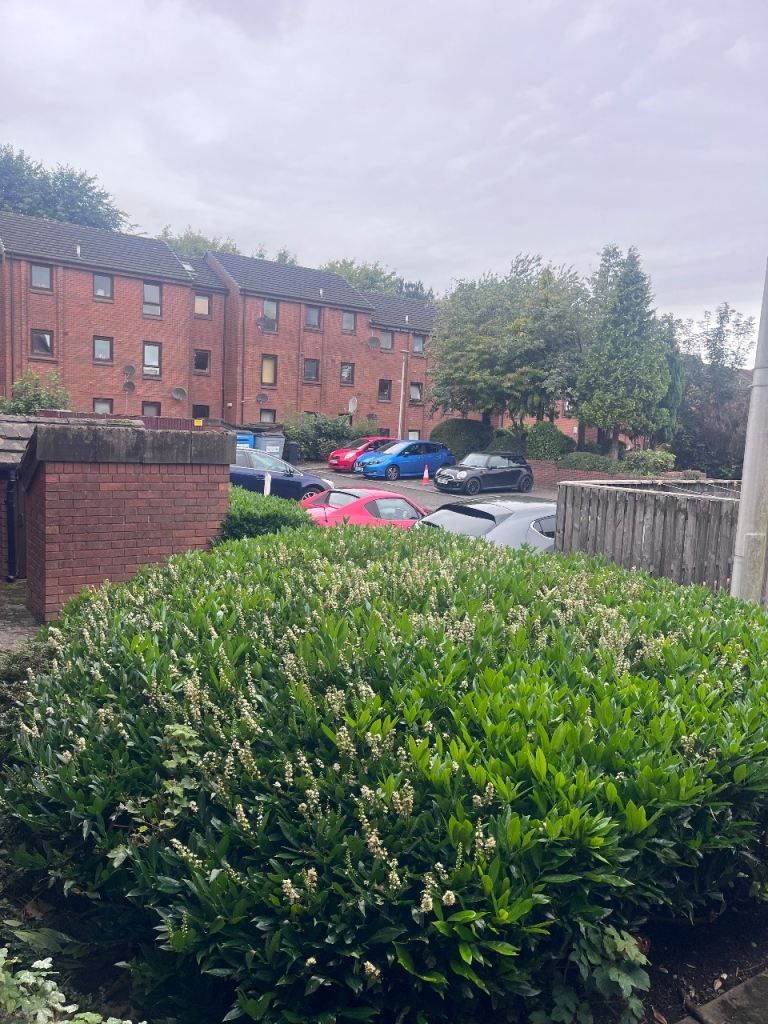 Flat Princes Gate in Rutherglen