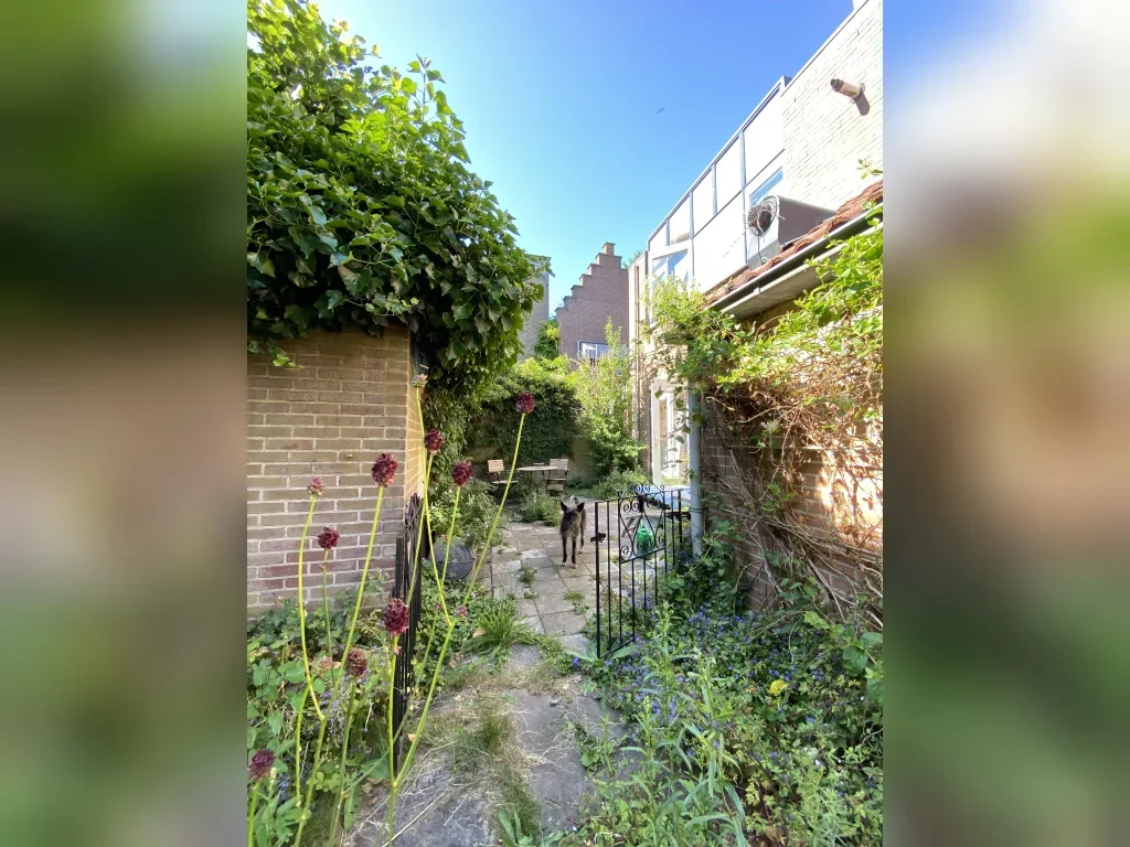Appartement Vroonhof 4