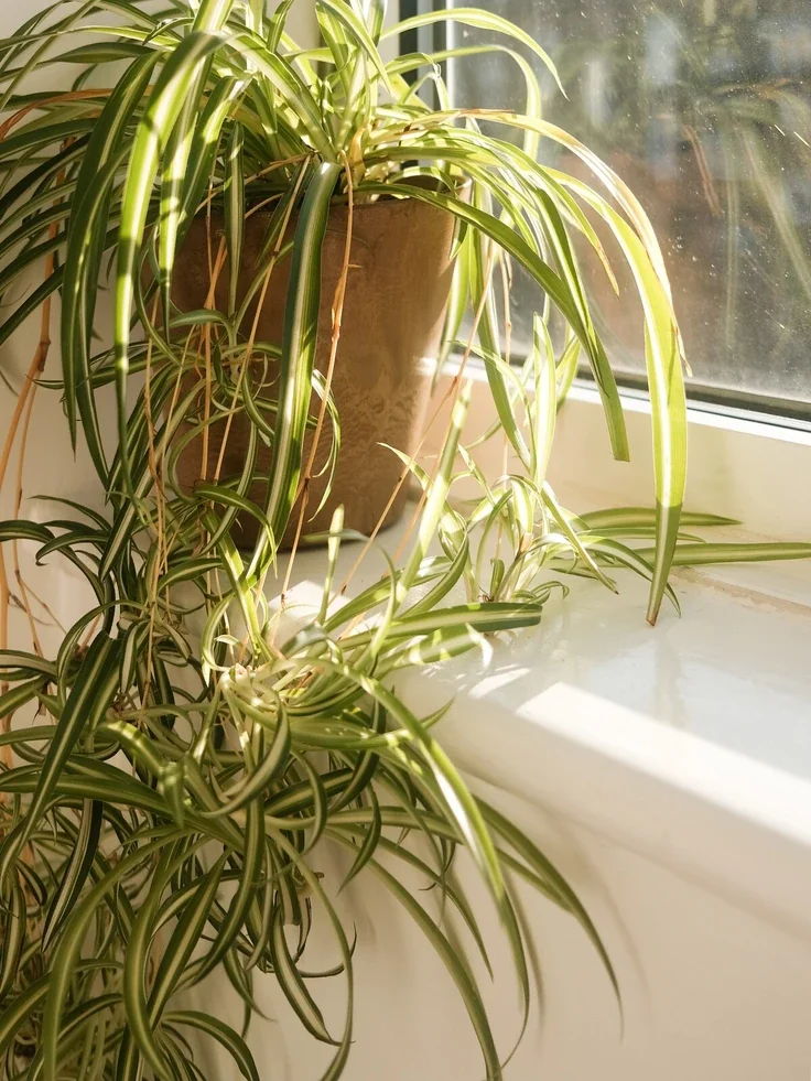 Flat Highbury Grove in Greater London