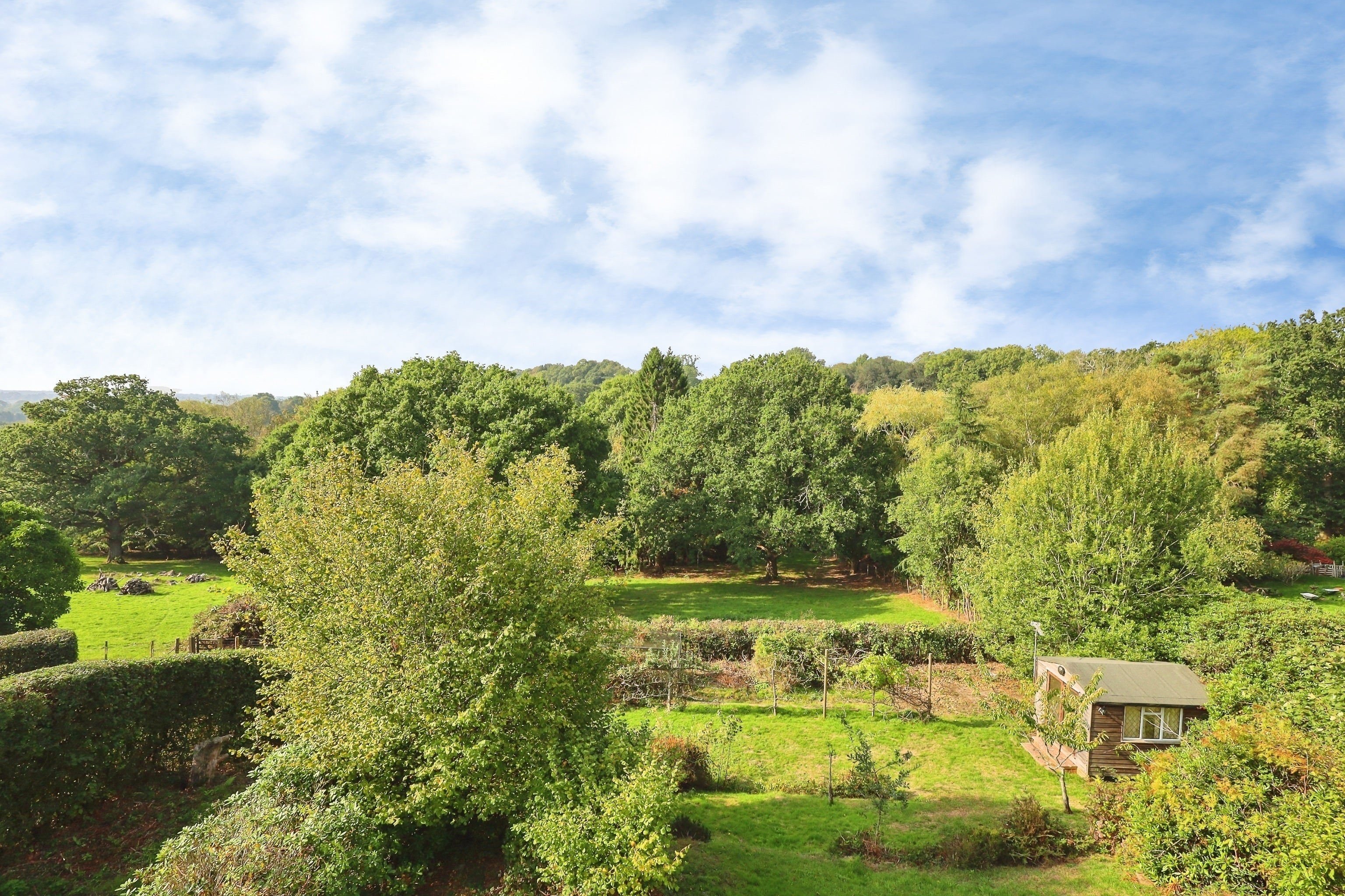 House Wilderness Lane in Wealden