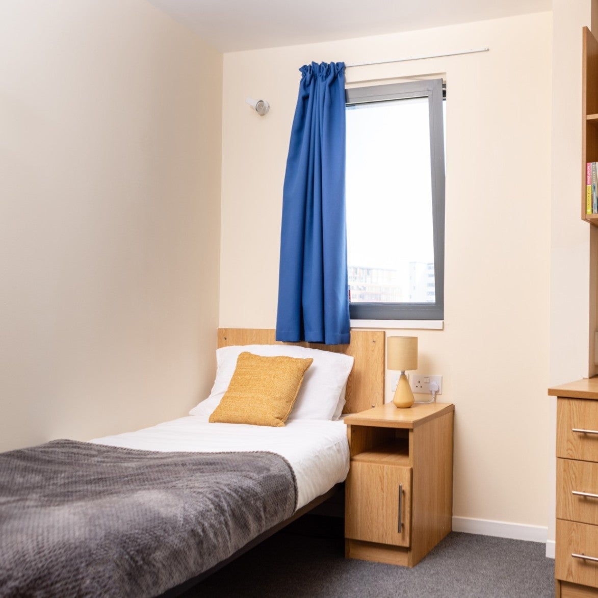 Room Madeira Road in Bournemouth