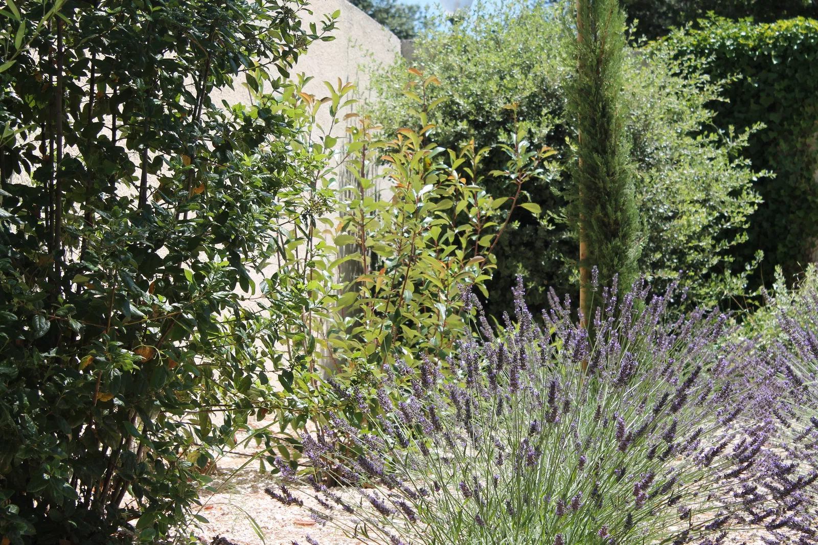 Chambre Rue de la Privadière à Garrigues-Sainte-Eulalie