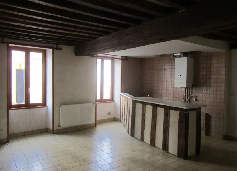 Appartement Boulevard Pierre Ségelle à Orléans