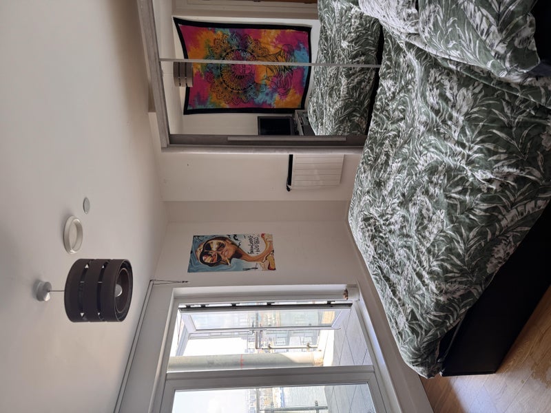 Room Mast Quay in Greater London