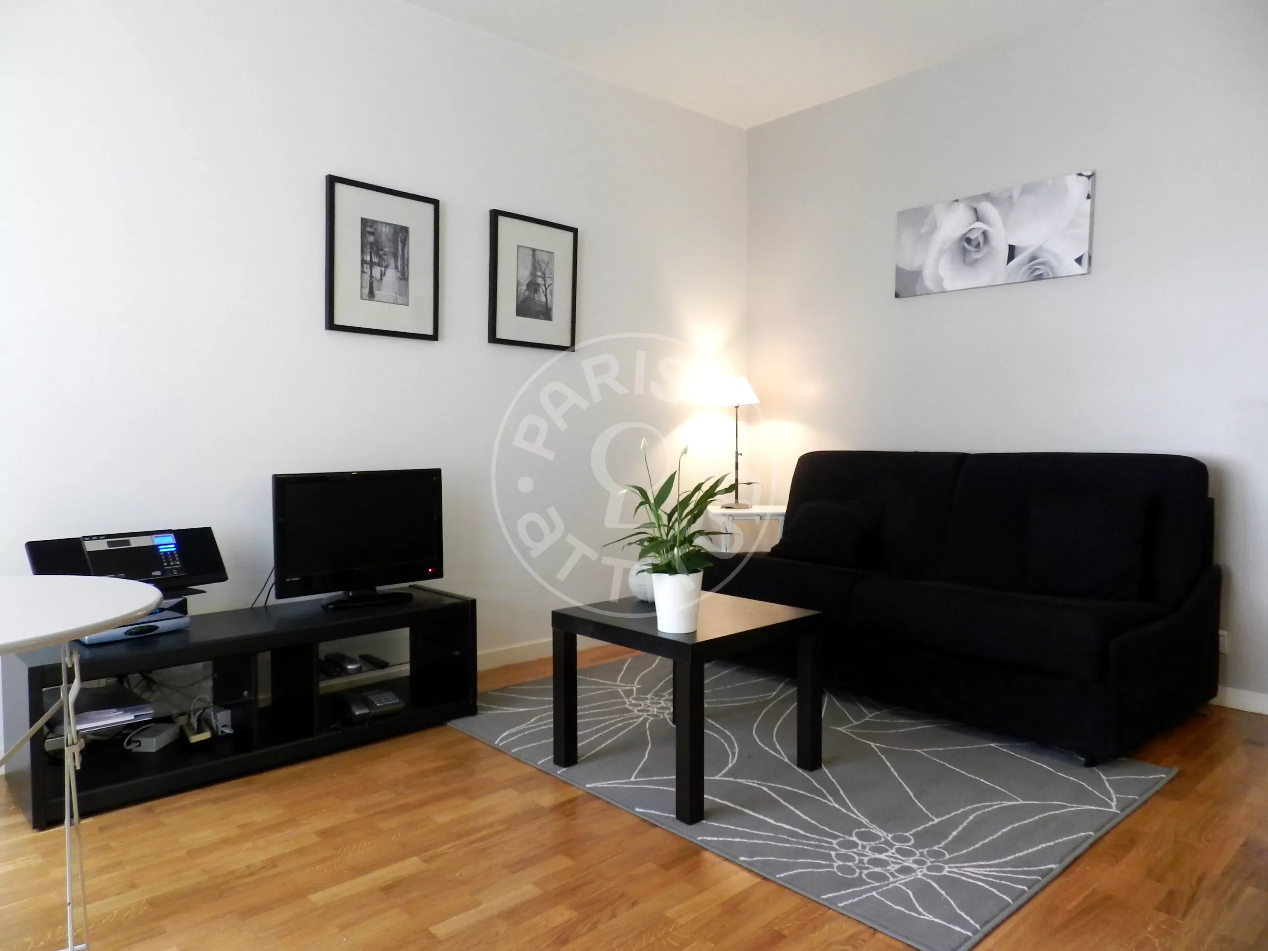 Flat Rue Rouelle in Paris