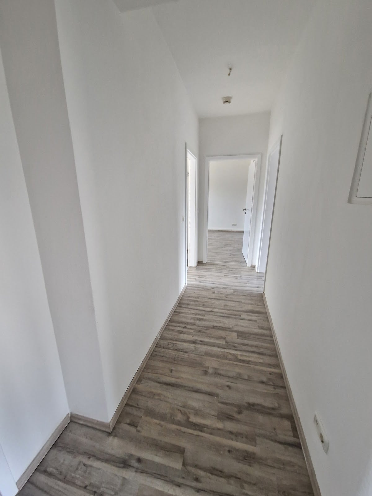 Wohnung Im Brückfeld in Magdeburg
