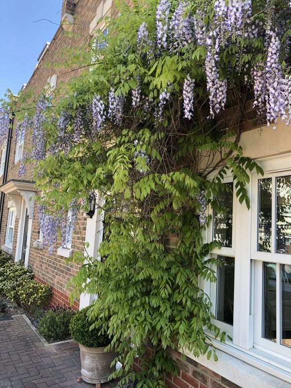 Room Benkart Mews in Greater London