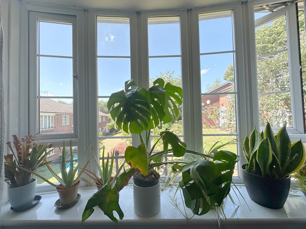 Flat Thoresby Court in Nottingham