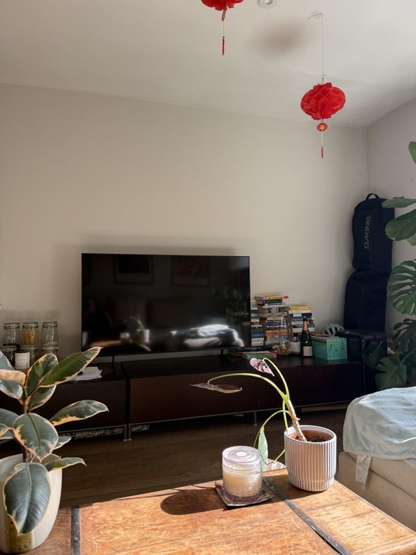 Room Courtfield Gardens in Greater London