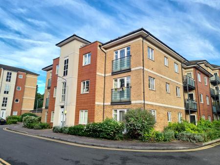 Flat Dog Kennel Walk in Dunstable