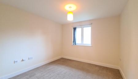 Flat Dog Kennel Walk in Dunstable