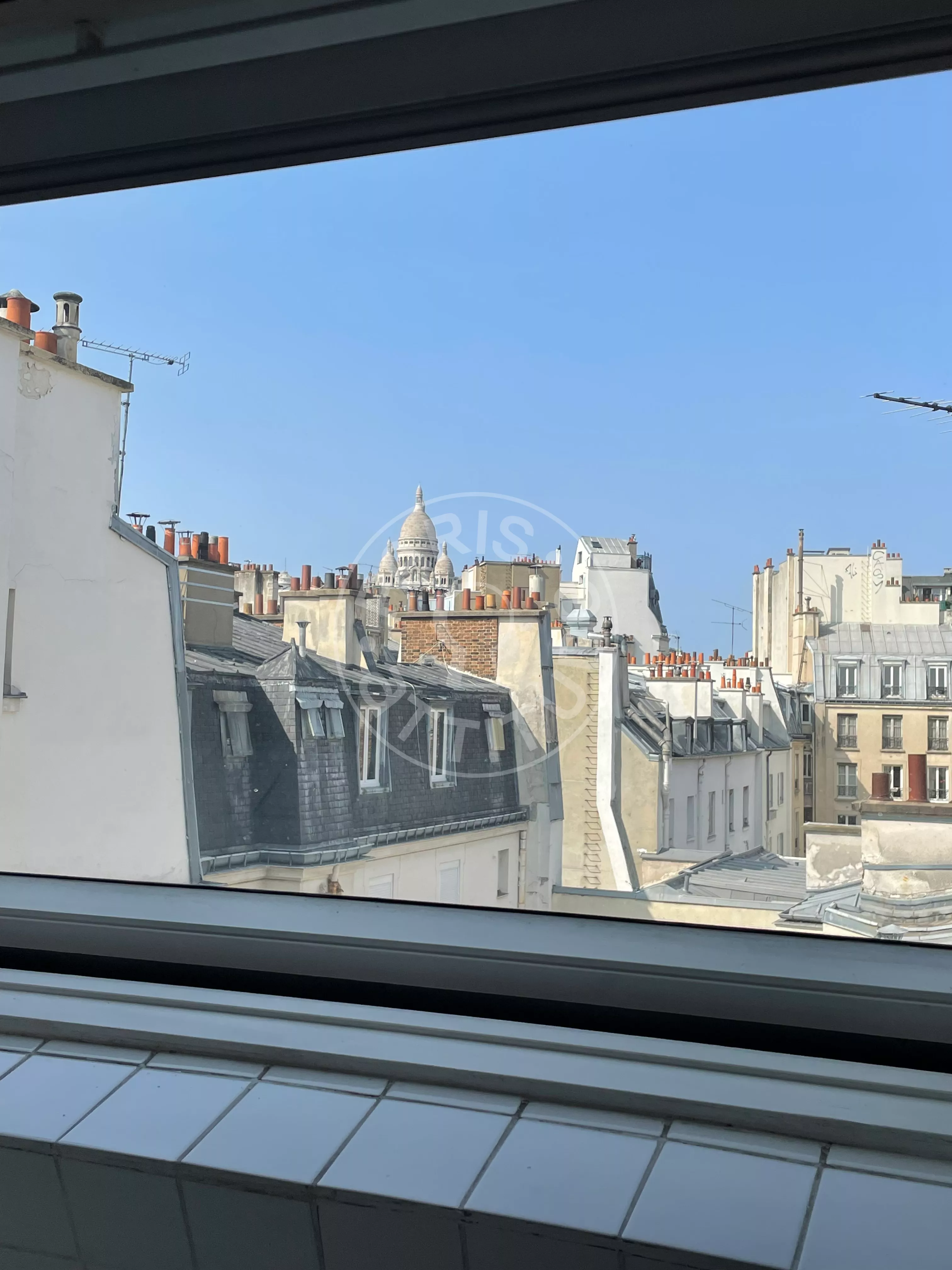 Flat Rue Condorcet in Paris