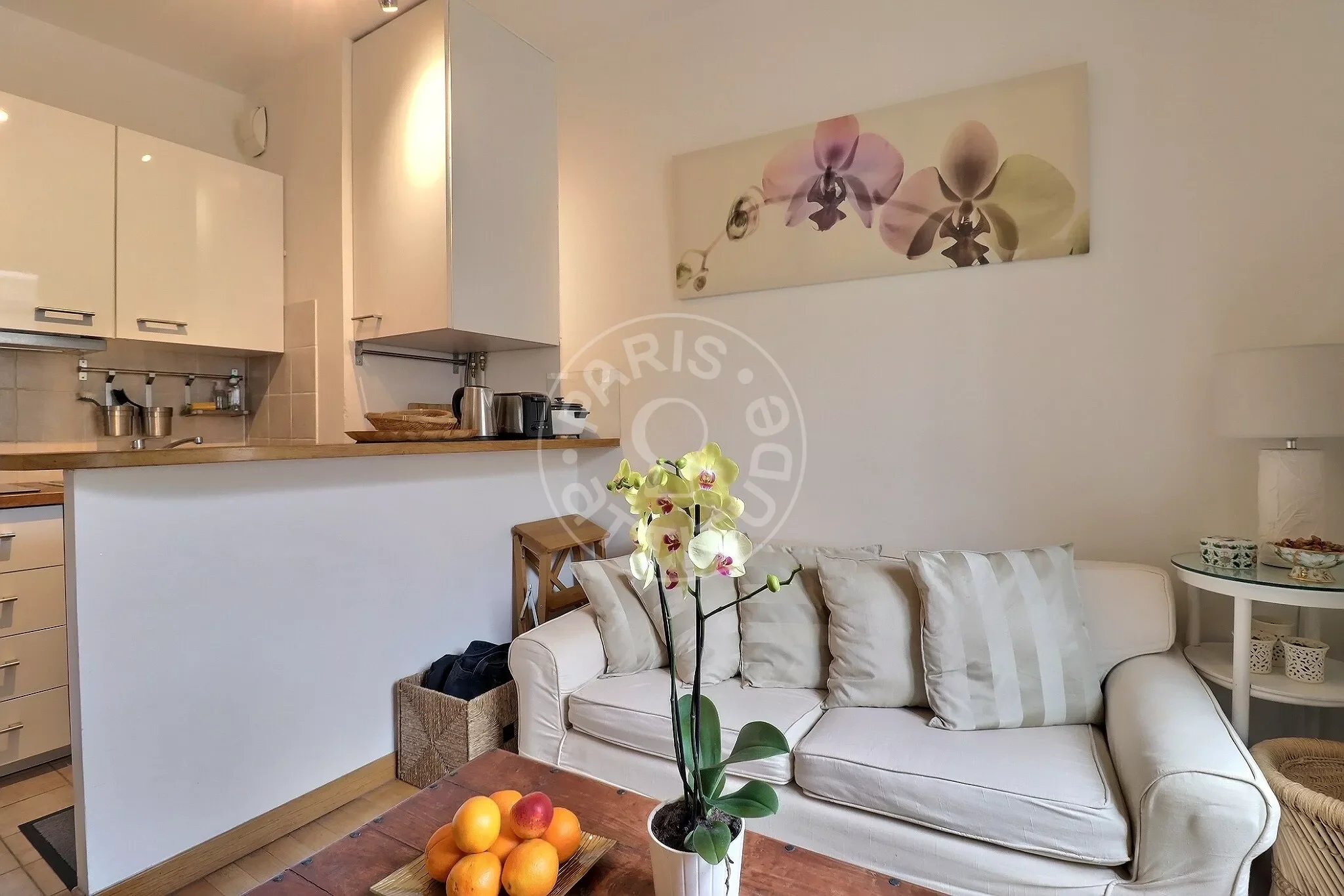 Flat Rue Racine in Paris