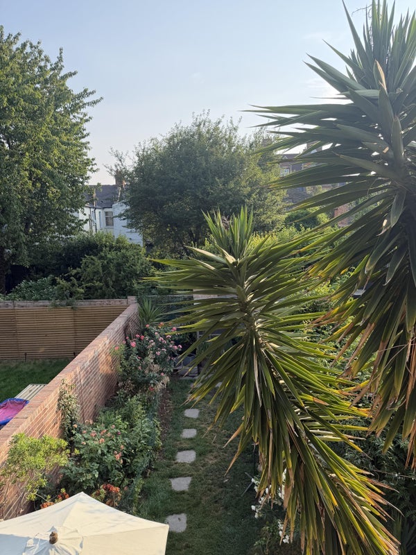 Room Micklethwaite Road in Greater London