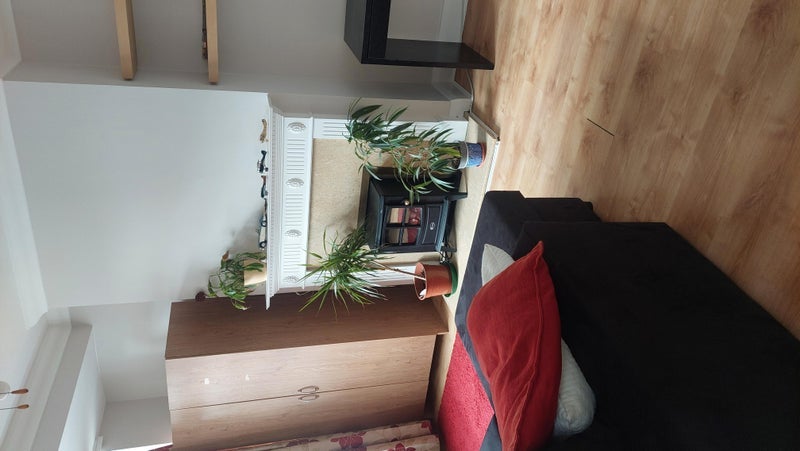 Room Chatham Avenue in Greater London