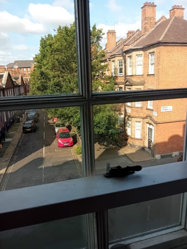 Flat Duchy Street in Greater London