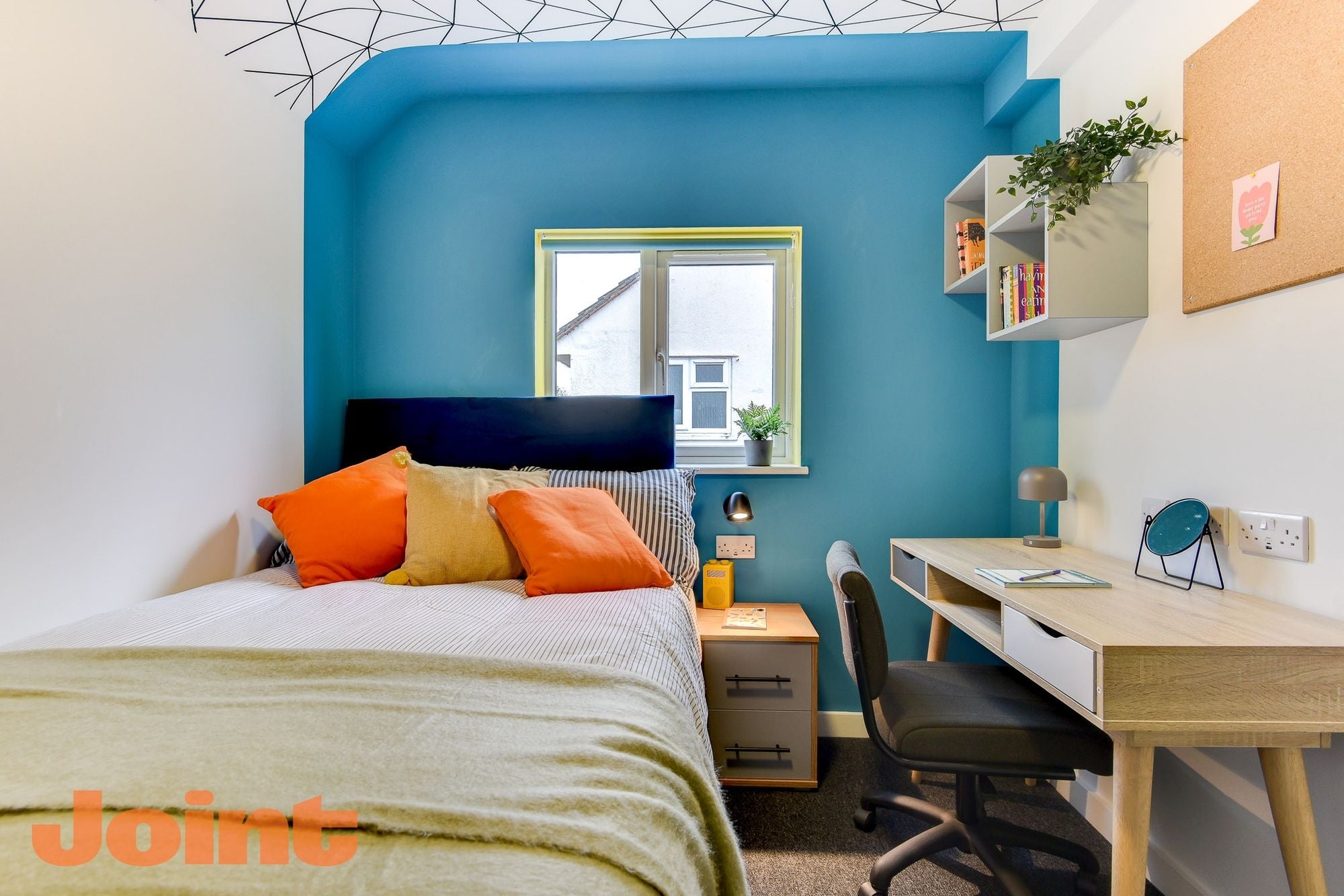 Room Bishop Manor Road in Bristol