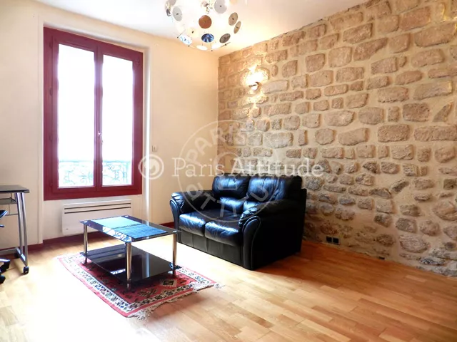 Flat Rue Sedaine in Paris