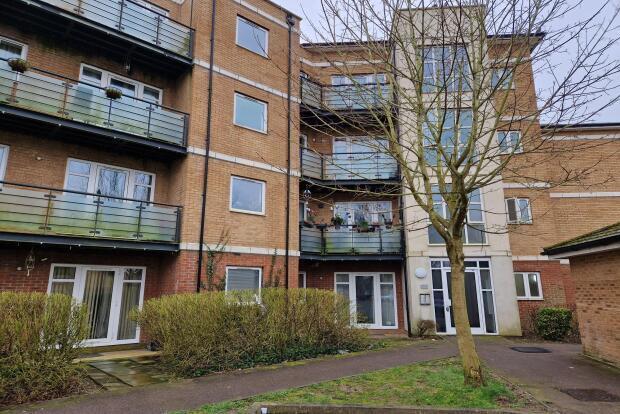 Flat Dog Kennel Walk in Dunstable