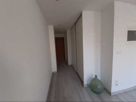 Flat Avenue du Professeur Tixier in Bourgoin-Jallieu