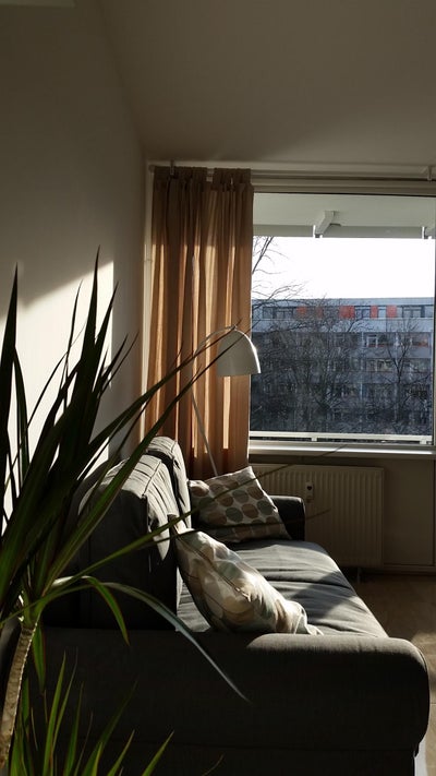 Wohnung Brüderstraße in Berlin