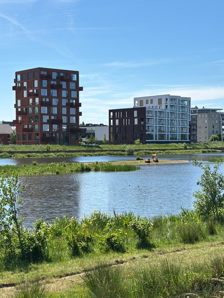 Woning te koop: Moonenlaan 194, Hardenberg