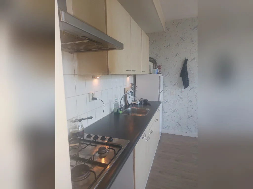 Appartement Luitenant Maltbystraat 29 in Breukelen