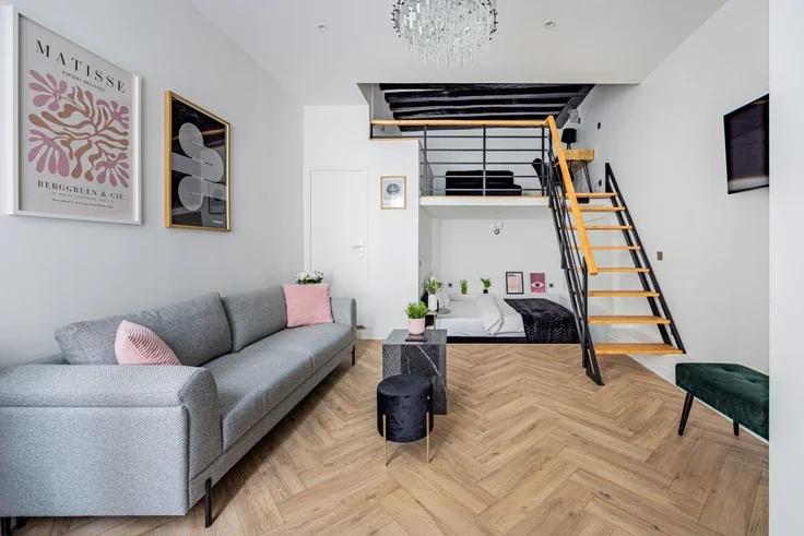 Flat Rue Dauphine in Paris
