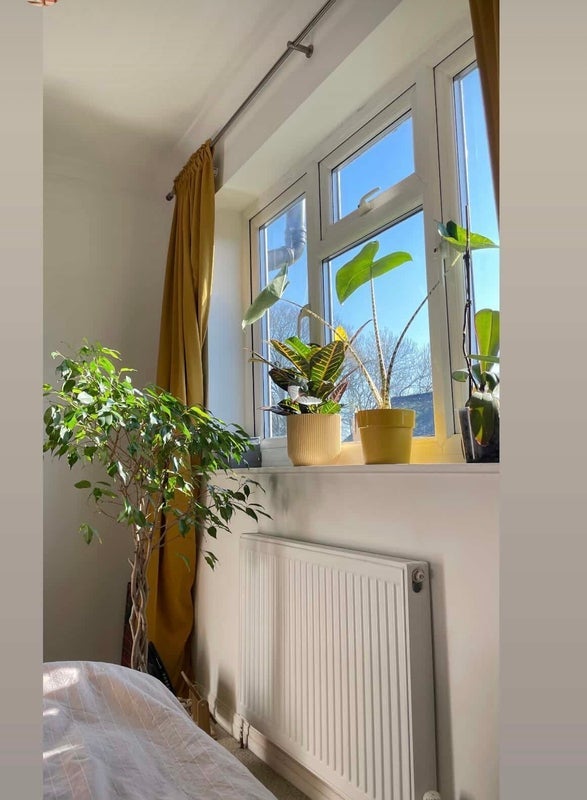 Room Cuckoo Lane in Prestwich