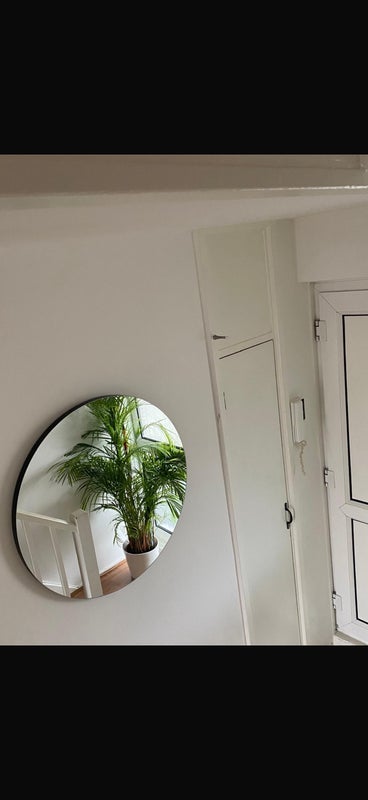 Room Warwick Way in City of Westminster