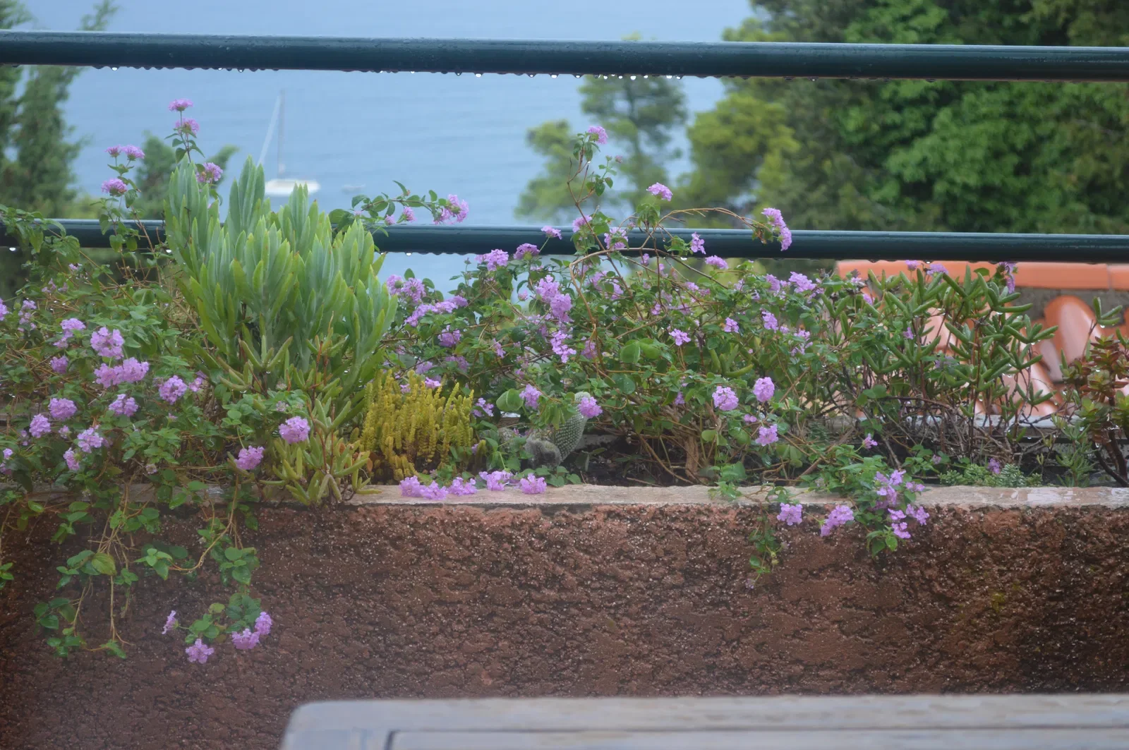 Room Route de Port-Vendres in Collioure
