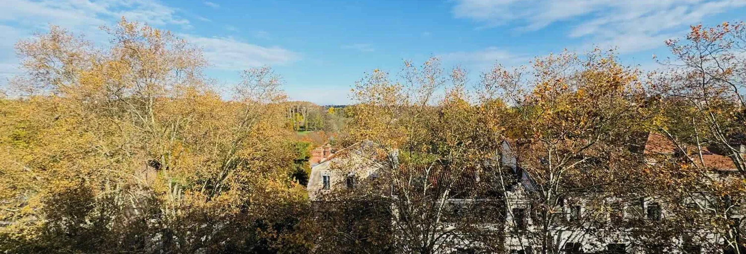 Flat Boulevard des Belges in Lyon