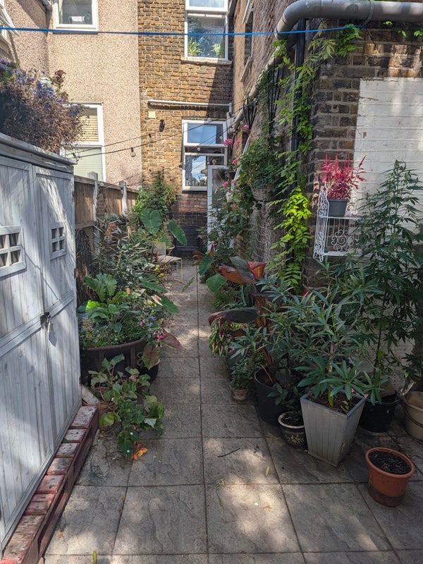 Room Hassett Road in Greater London