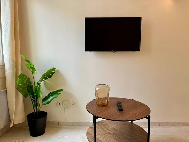 Flat Rue Crillon in Lyon