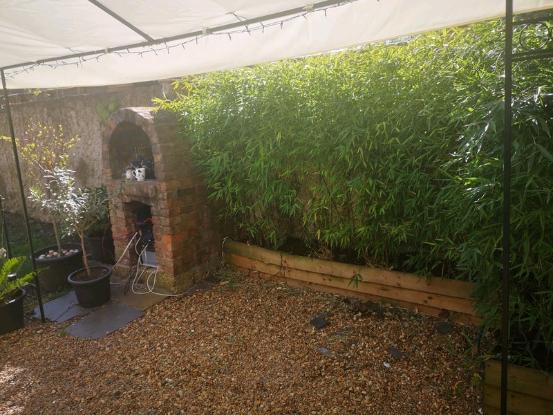 Room Disraeli Road in Greater London