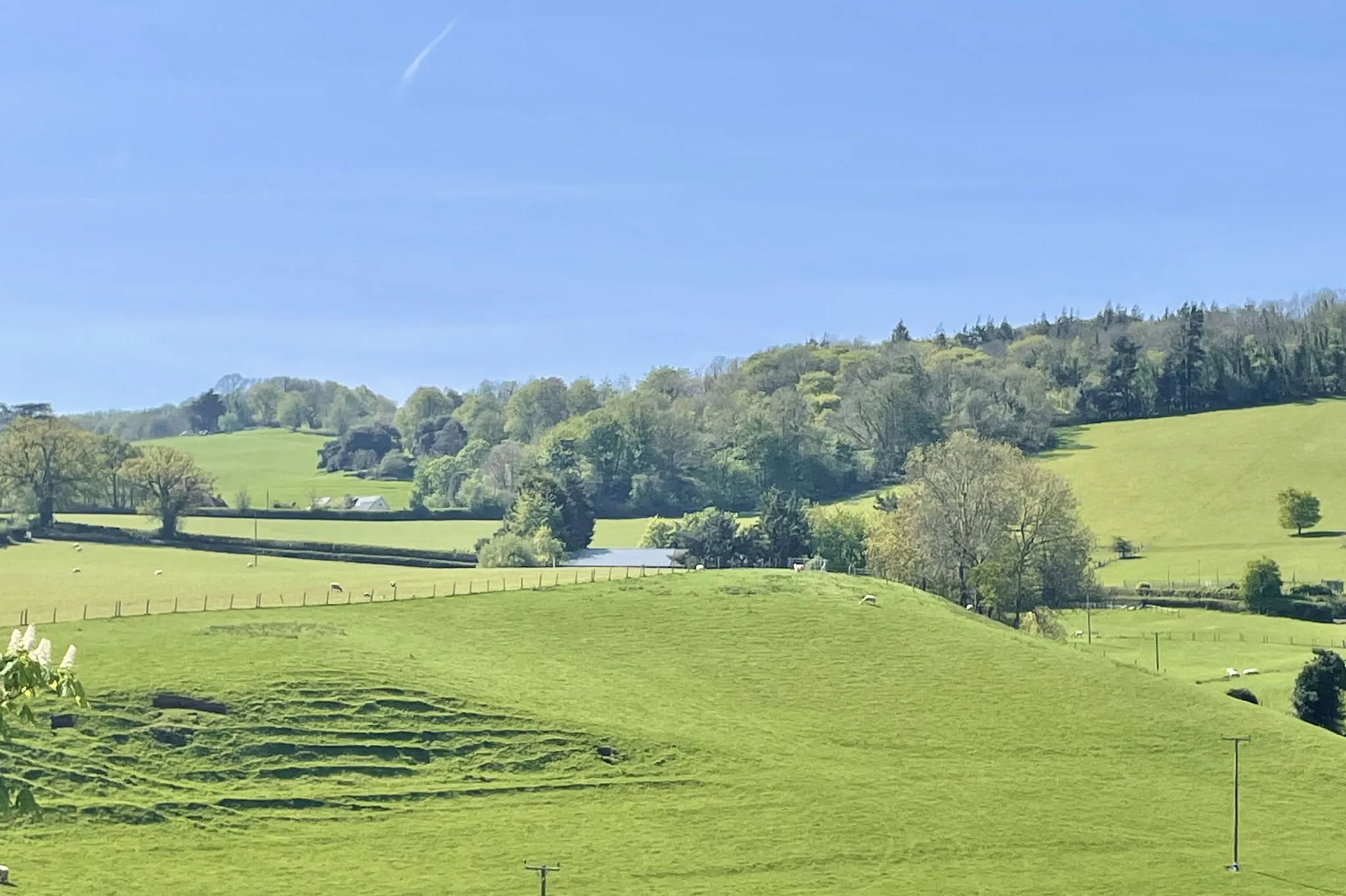 House School Lane in Teignbridge